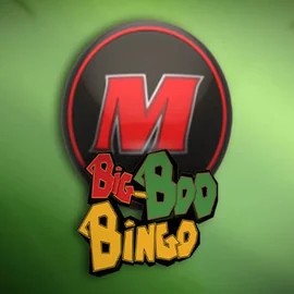 Official Bingo logo: Big-Bod Bingo by FBM at Robocat Casino