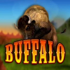 Buffalo Bingo online game logo by MGA Games on rrobocatcasino.com