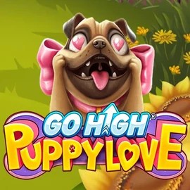 Try Go High Puppy Love slot by RubyPlay on rrobocatcasino.com – logo image