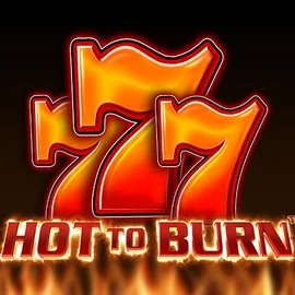 Hot To Burn logo by Pragmatic Play Robocat Casino