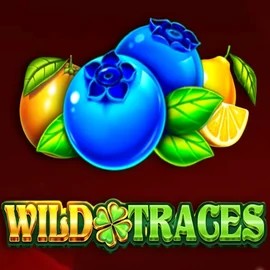Wild Traces slot icon by Amusnet Interactive, available at Robocat Casino